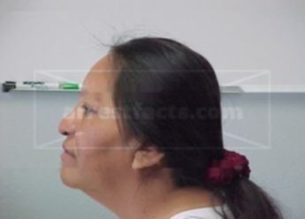 Carmelita Palomares