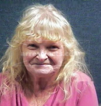 Nancy Carol Danner