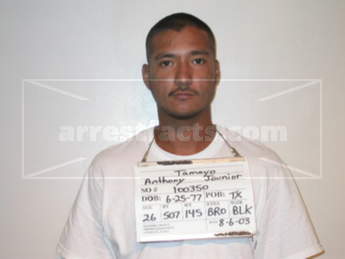 Anthony Jounior Tamayo