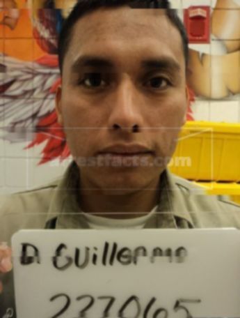 Guillermo M Dominguez