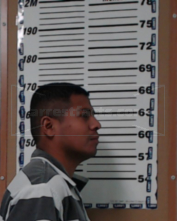 Luis Martinez-Morales