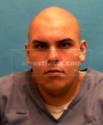 David L Pulido