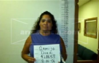 Diana T Armijo