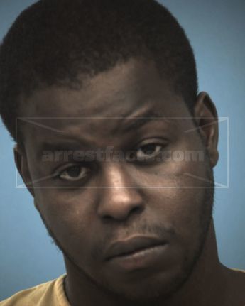 Ramzi Louis Owens
