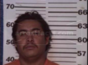 Julio Cesar Nava Castillo