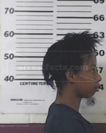 Keisha Darnelle Coffman