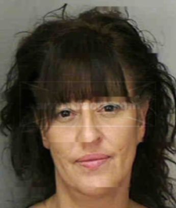 Tracey M Mitchell