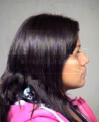 Lydia Shauna Dixon