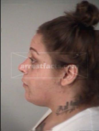 Ashley Nichol Mayernik