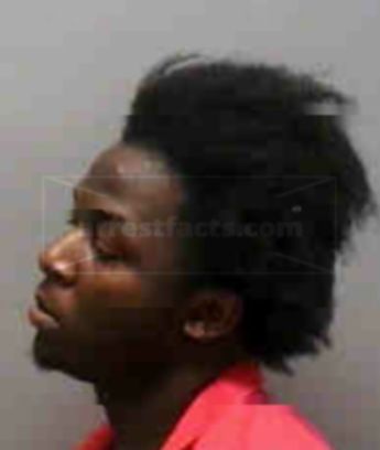 Patrick Erick Metellus