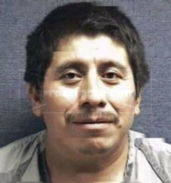Mario Dominguez Flores