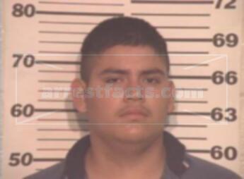 Christian Herrera Castillo