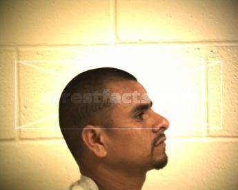 Raul Andres Vega Jimenez