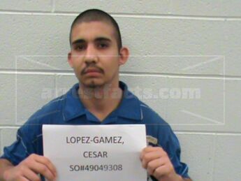 Cesar Lopez-Gamez