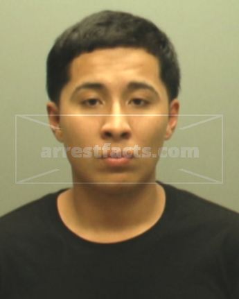 Matthew Chico Solis