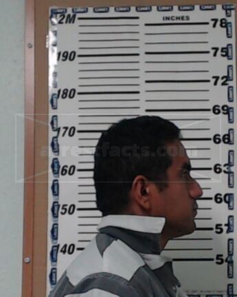 Efrain Perez-Zarate