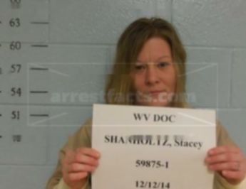 Stacey L Shanholtz