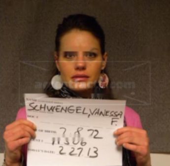Vanessa F Schwengel