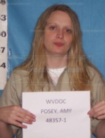 Amy M Posey