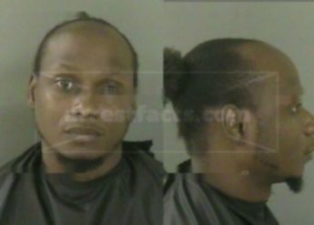 Jimmie Reese Jr