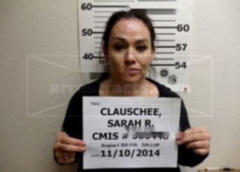 Sarah R Clauschee