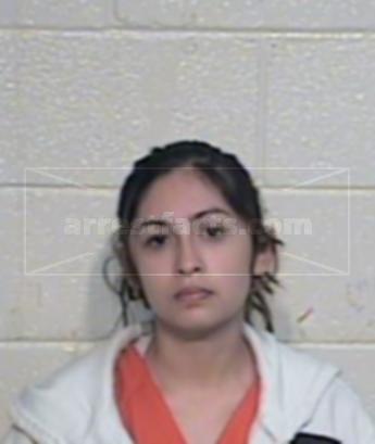 Ashley Nicole Mendez Reyna