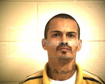 Eazy Lee (Starr Co.) Ocanas