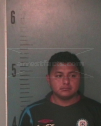 Alexander Flores Ical