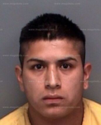 Francisco Javier Cortez Garcia