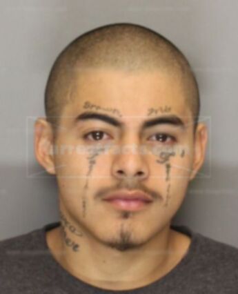 Hernandez Jose