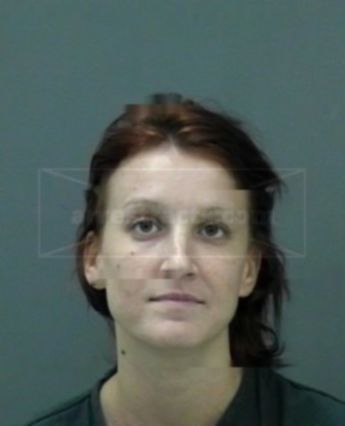 Sharon Sue Nehmer
