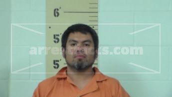 Albert Landon Solorzano