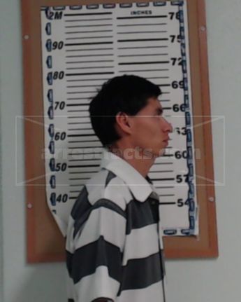 Vladimir Flores-Flores
