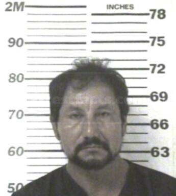Luis Fernando Ibarra-Chavez