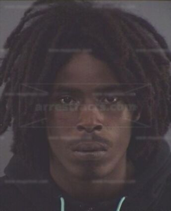 Dion D Miller