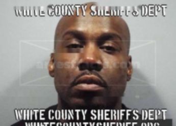 Brian L Dennis