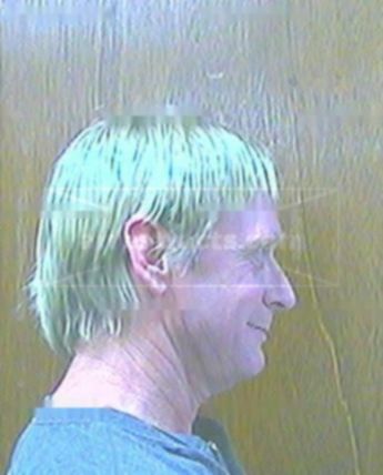 David L Collins