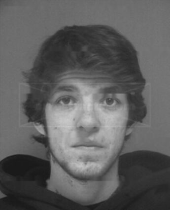 Conner J Fine