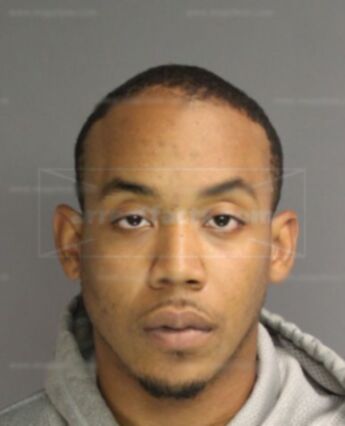 Damian J Purvis