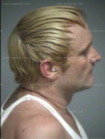 Robert Alan Henderson