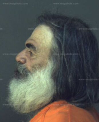 Robert Leroy Baldwin Jr