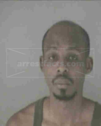 Michael Bang Williams