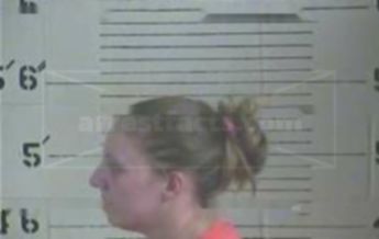 Amber M Hollan