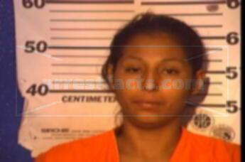 Evie Ramos Pedraza