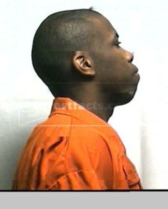 Michael L Curtis