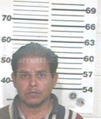 Guadalupe Guevara Torres Zavala