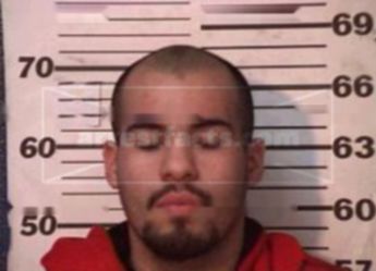 Mario Mendoza Luvianos