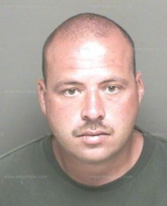 Steven Ashley Wilson