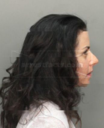 Amy Lynn Seinfeld