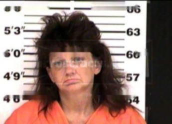 Amy Janelle(Wilson) Goodin